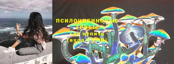 индика Сосновка