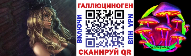 Псилоцибиновые грибы Cubensis  закладка  ОМГ ОМГ сайт  Чекалин 