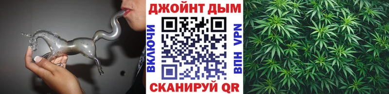 Марихуана конопля Чекалин